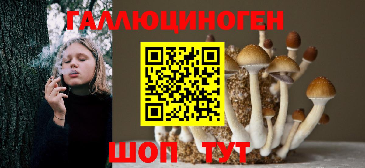 Псилоцибиновые грибы ЛСД Выкса